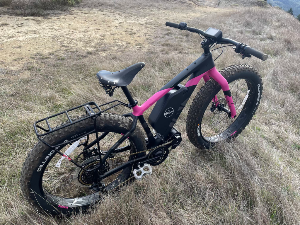 Project eBeargrease