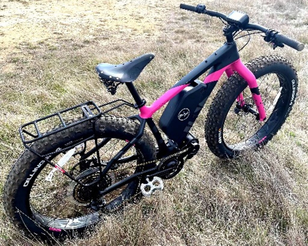 Project eBeargrease — Salsa Beargrease Carbon × CYC X1 Pro