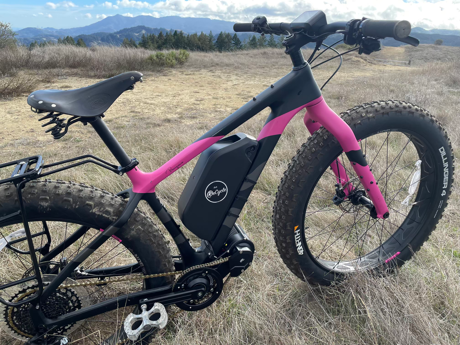 Project eBeargrease — Salsa Beargrease Carbon × CYC X1 Pro — photo 2