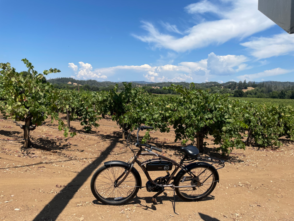 Power Couple — Electra Cruiser & Stingray × CYC Pro