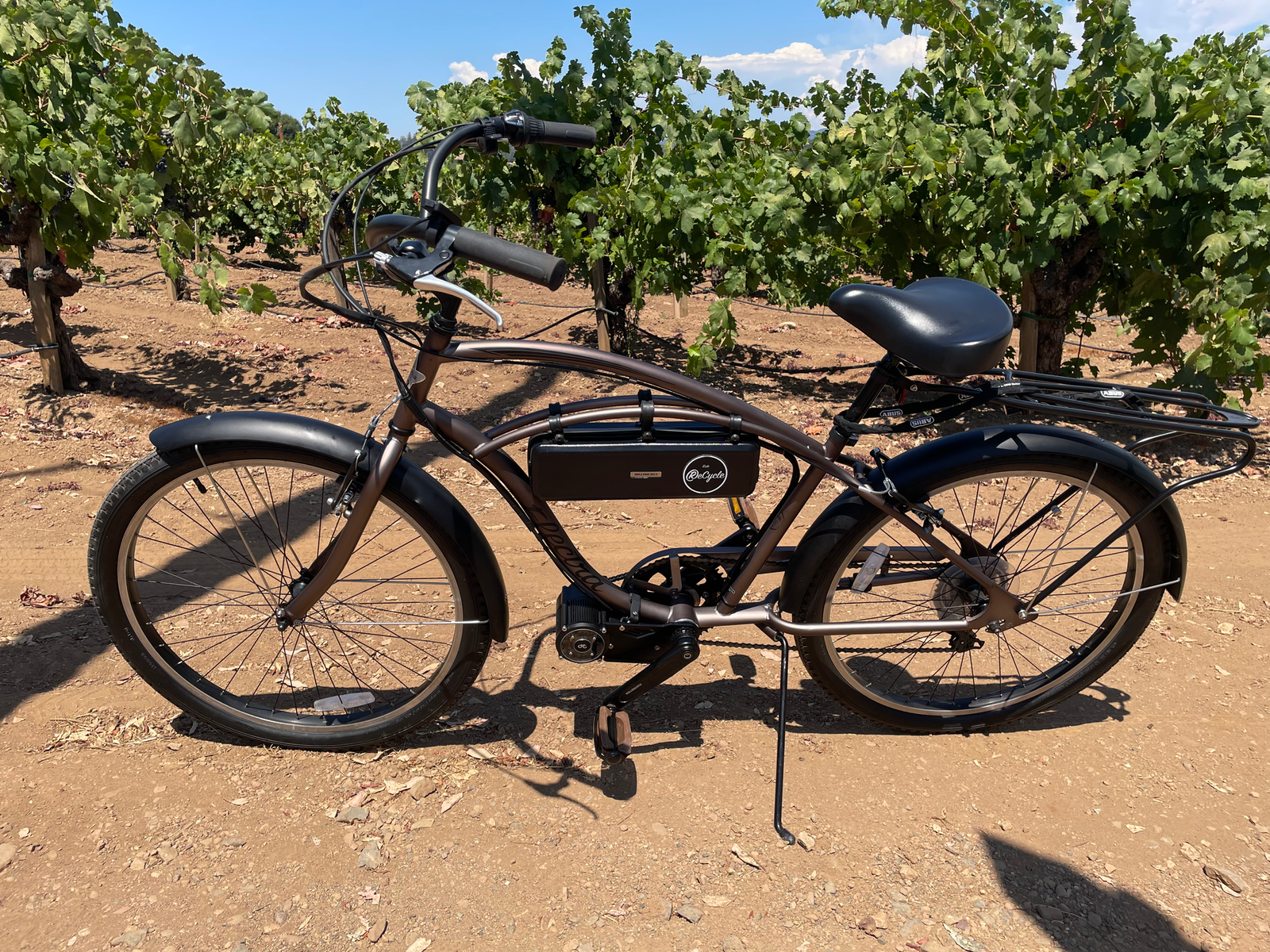 Power Couple — Electra Cruiser & Stingray × CYC Pro — photo 1