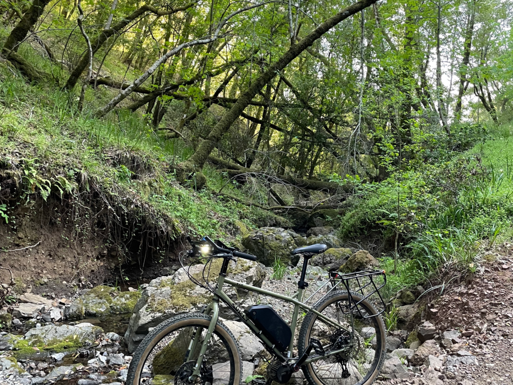 Sally’s eSurly — Surly ECR × Bafang BBSHD